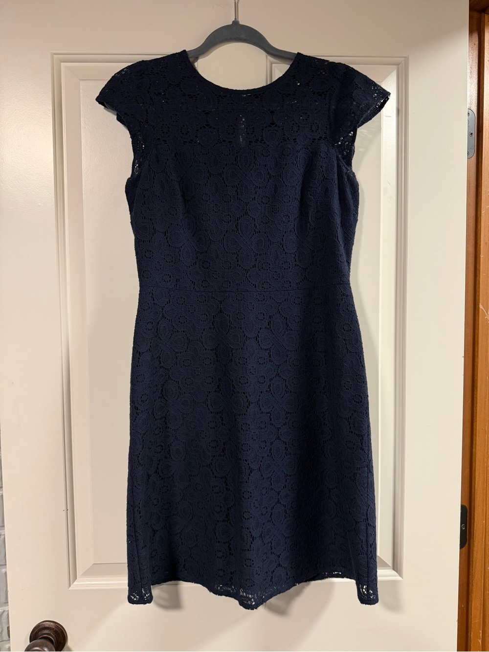 Ann Taylor Factory Navy Cap Sleeve Lace Dress